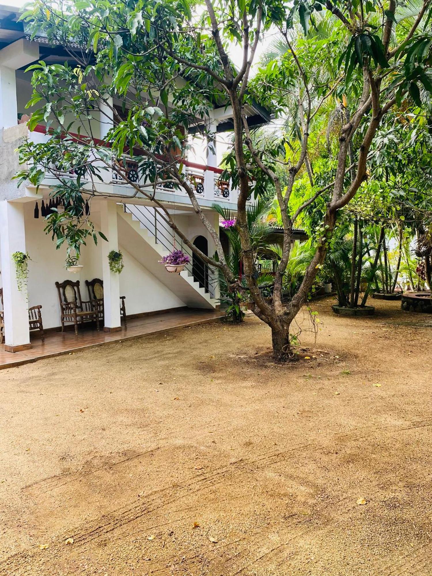 The Green Garden Dambulla Esterno foto