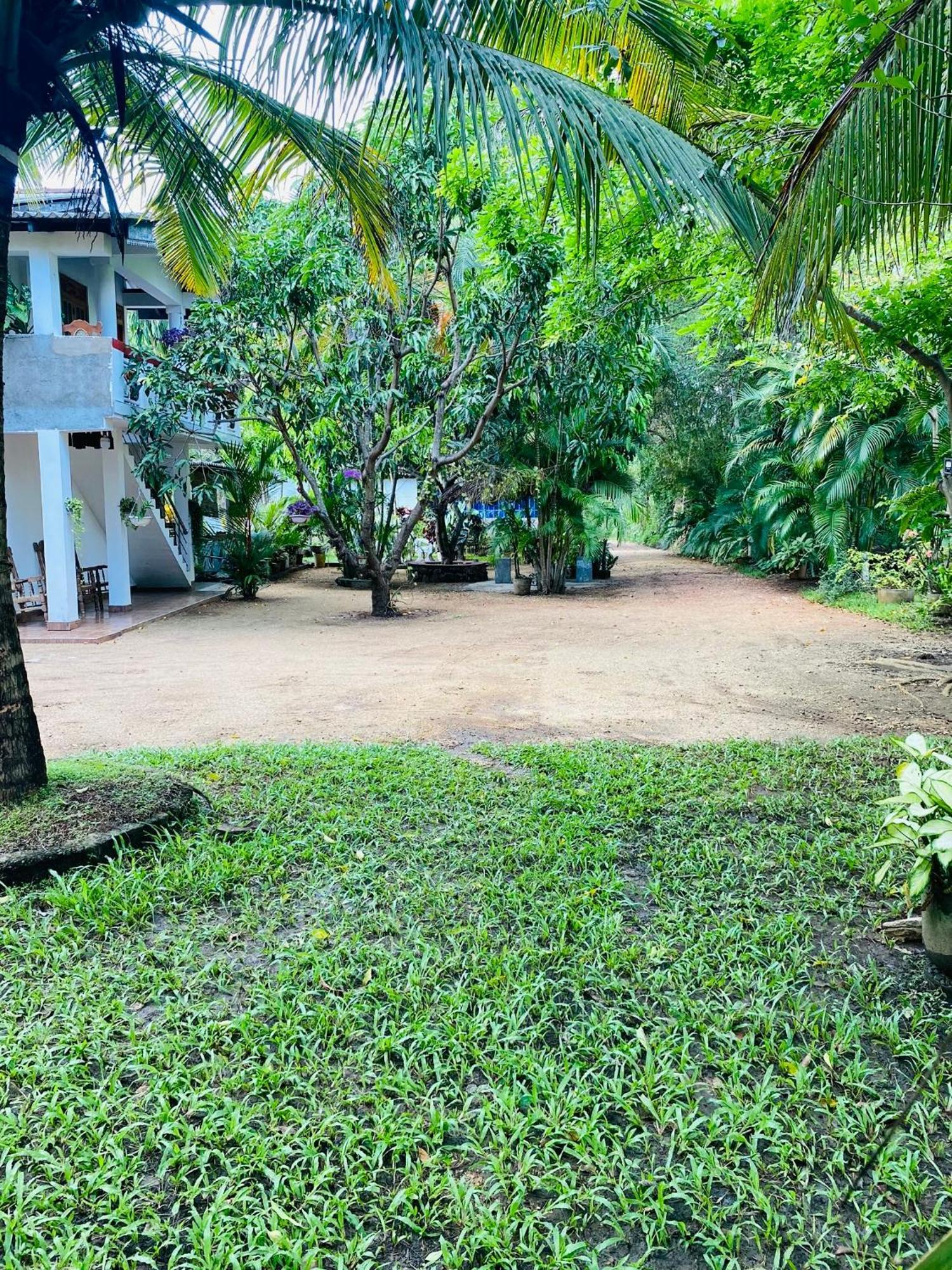 The Green Garden Dambulla Esterno foto
