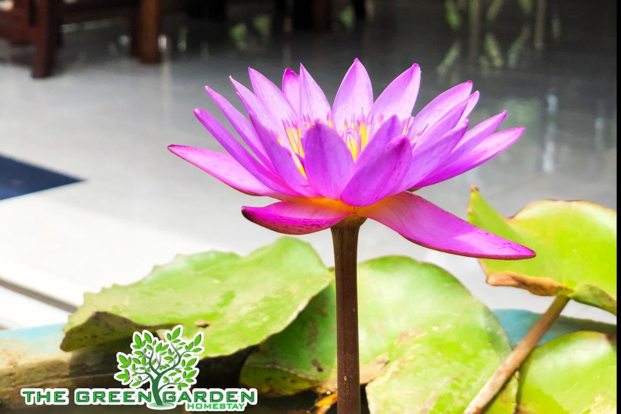 The Green Garden Dambulla Esterno foto